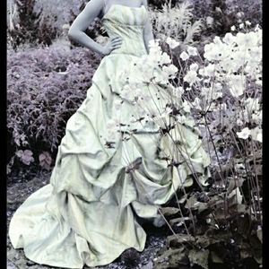 Stunning Anne barge wedding gown (sold at Macy's)